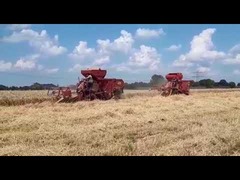 2mal Bautz T 600 2019