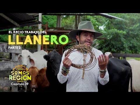 Somos Región: El recio trabajo del llanero (Parte 2)