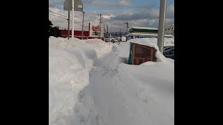 【青森県黒石市】雪国お散歩【特別豪雪地帯】