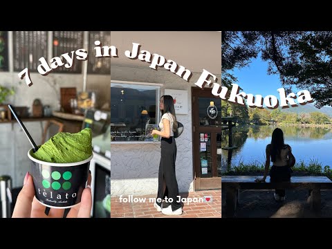 Siga-me para o Japão // Vlog de Fukuoka, Beppu, parque onsen, comida de rua japonesa, teleférico de Beppu, Yufuin