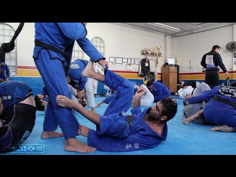 Do you think you could pass Leandro Lo's guard? || In the Gym with BJJ Hacks