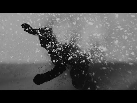 KORUA Shapes - The Brushed Topsheet Release