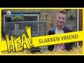 HEA!  De slakken van Johan Veenstra