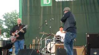 Toronto Beaches Jazz Fest 2009 - Monkey Junk - Price We Pay For Being Born