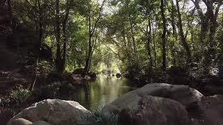 #4K free video 99,#stock video,#free stock footage,#royalty free video,#copyright free video,