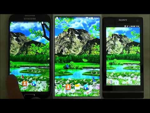 Summer Live Wallpaper Video