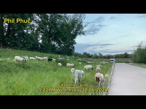 Part 2 - Citadelle - Lille