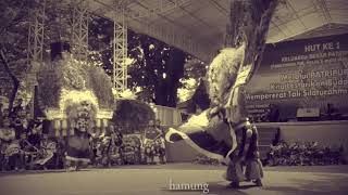 Download lagu Story WA Reog Ponorogo WAROK PONOROGO PERANTAUAN mp3