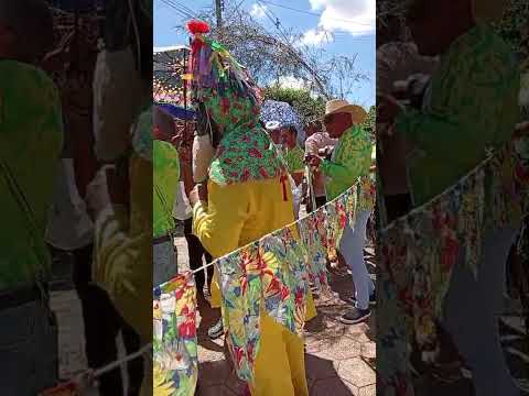 Folia de reis de cruzeiro do oeste pr
