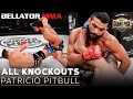 ALL Pitbull Bellator Knockouts | Bellator MMA