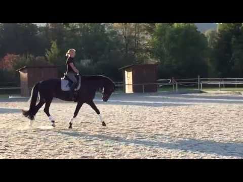 Red Carpet von Blue Hors Romanov