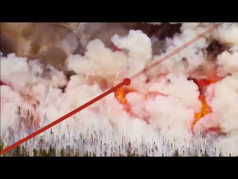 The White House Effect