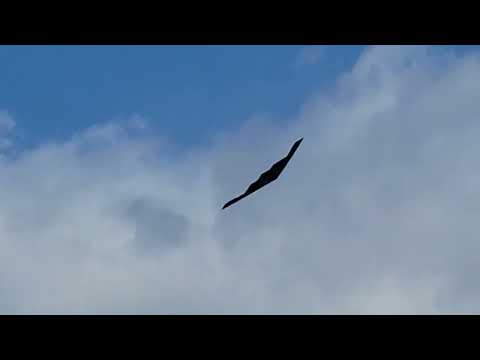 B2 bomer flying over a B29 in Wendover 2022.