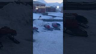 Close Call with a Polar Bear! 🐻‍❄️