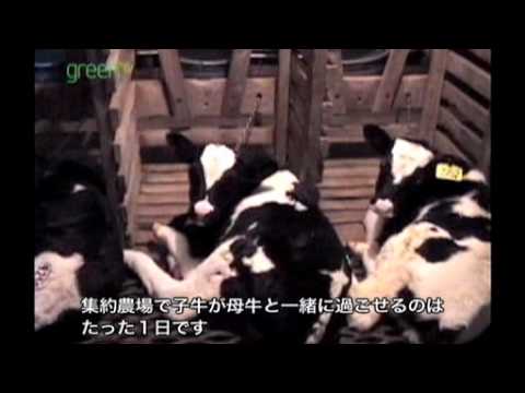 時代を超えた家畜たち