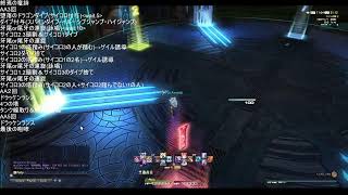 絶竜詩戦争　ニーズヘッグ[人型]　自主練