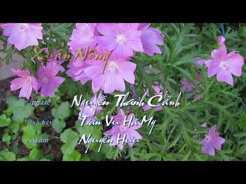 Xuân nồng Sheet - Trần Vũ Hà My