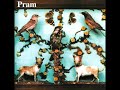 pram - picture box