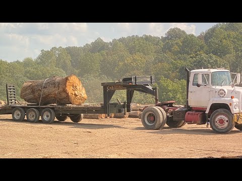 Watch!! Before you buy a Woodmizer LT 70 super hydraulic!