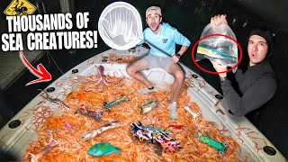 Netting Thousands of SEA CREATURES & Exotic FISH at Night! (SHRIMP EVERYWHERE!)