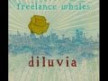 Freelance Whales - Aeolus 