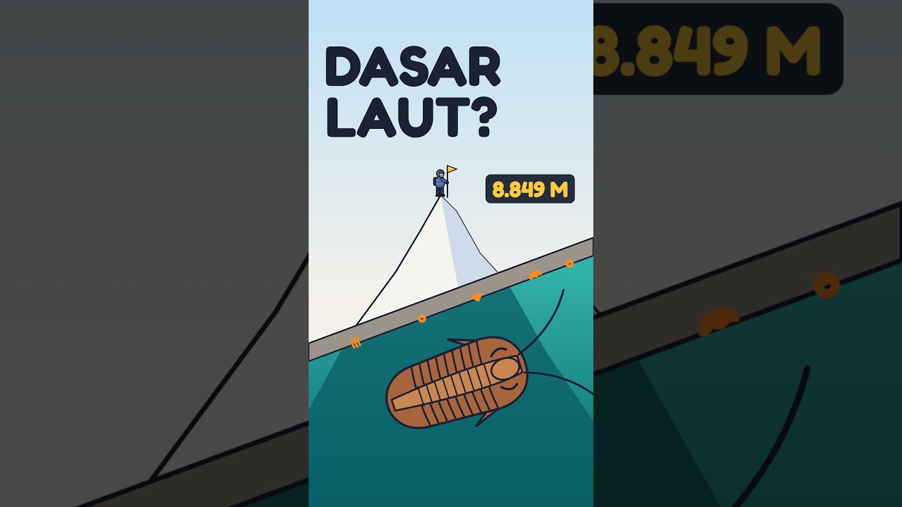 Fosil Binatang Laut di Puncak Everest? #faktaunik