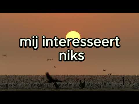 Sunil botst met reclassering - Inspirationeel, hoopvol