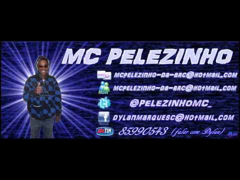 MC PELEZINHO A MENINA E ZIKA PK EU TO BANCANDO !!! ( DJ MALAKAI ).wmv