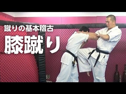 膝蹴り：蹴りの基本稽古２【空手道禅道会 技術解説：16 】武道総合格闘技 ／How To Knee Kick MMA KARATE