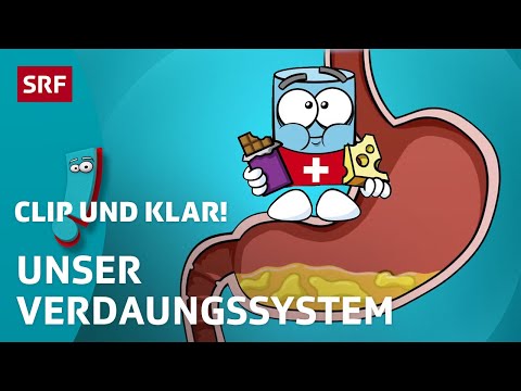 Wie funktioniert die Verdauung? | SRF Kids – Clip und klar! | Für Kinder erklärt