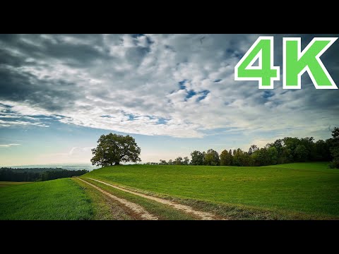 4K Time-Lapse: Beauty Of Nature | Drone View | Colors of Nature | Free HD Videos - No Copyright