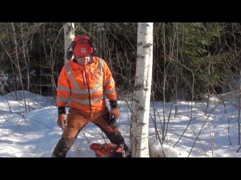 Metsolan Metsäkoulu 11, Moottorisaha, Kaatokolot