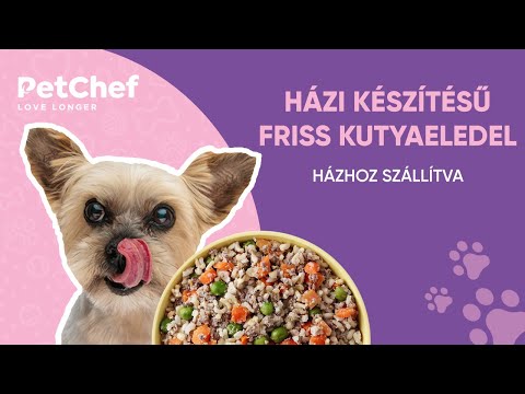 , title : 'PetChef - házi készítésű friss kutyaeledelek házhoz'