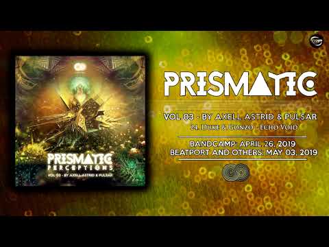 Duke & Gonzo - Echo Void