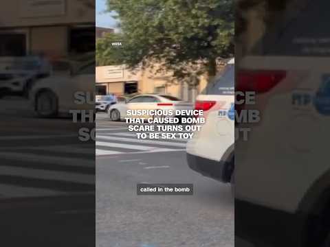 Suspicious device that caused bomb scare turns out to be sex toy