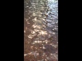 Water Wind Sun