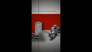 Podcast reel