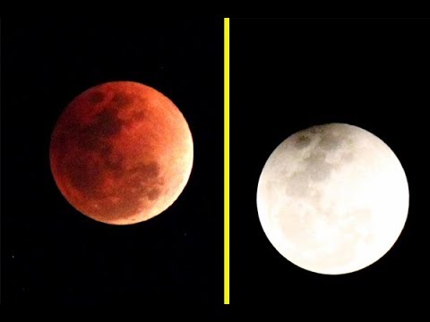 तम्मा पावलेंच्या कॅमेर्‍यानं टिपलेलं चंद्रग्रहण