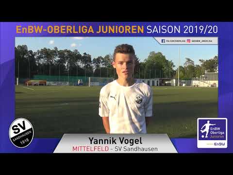 EnBW-Oberliga - SV Sandhausen - 19/20 - Yannik Vogel