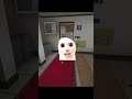 Cat Came ️ Gmod Shorts