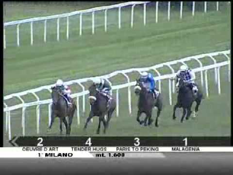 07/04/2012, Milano Galoppo, Premio Della Maura