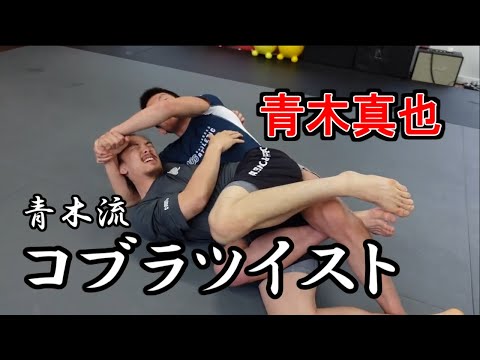 【職人技】青木真也流コブラツイストがすごい
