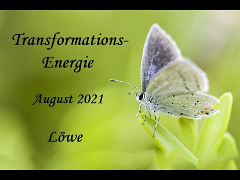 ❤️*Löwe*_August ´21_Ausbalancierung der Erwartungshaltung bringt großes Glück in der Liebe!❤️