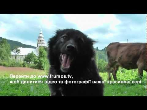 Valea Vişeului, jud. Maramureş.