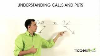 Understanding Calls and Puts