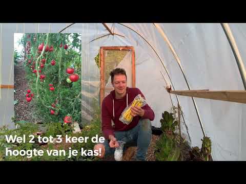 , title : 'De EFFM tomaat verdubbelaar - tomatenhaak!'