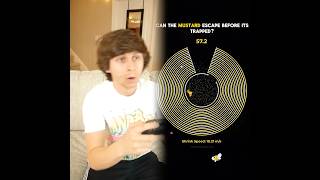 Download lagu This is so interesting, I have to watch it all!#funnyvideos#duet mp3 Download lagu This is so interesting, I have to watch it all!#funnyvideos#duet mp3