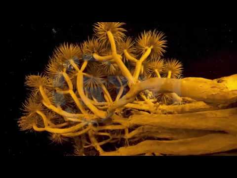 30 mesime per agjeruesit - Ramazani, rruga drejte pendimit  - 15