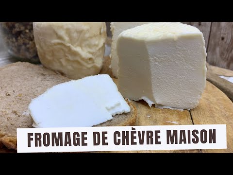 Comment fabriquer un fromage de chèvre frais maison ? lait de chèvre - sans vinaigre ni citron