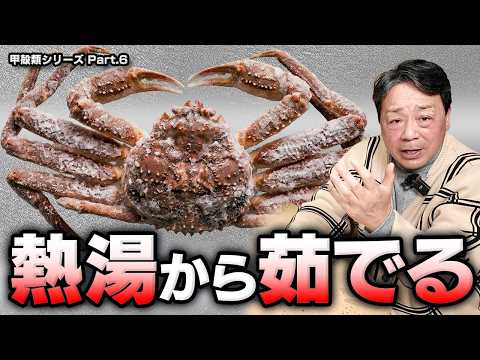 死んだカニは熱湯から茹でる｜活きたカニと真逆になる理由と冷凍ガニの扱いを大将が語る｜カニの奥深い話 Part.3